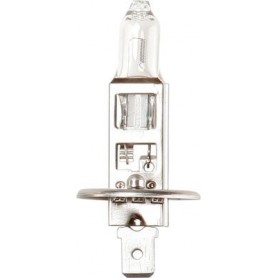 CARLEX Halogen Headlamps H1 Cap