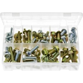 Assortment Box of Serrated Flanged Set Screws High Tensile - Metric