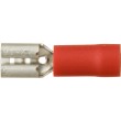 Red Insulated Terminals - Push-on Females Red Insulated Terminals - Push-on Females